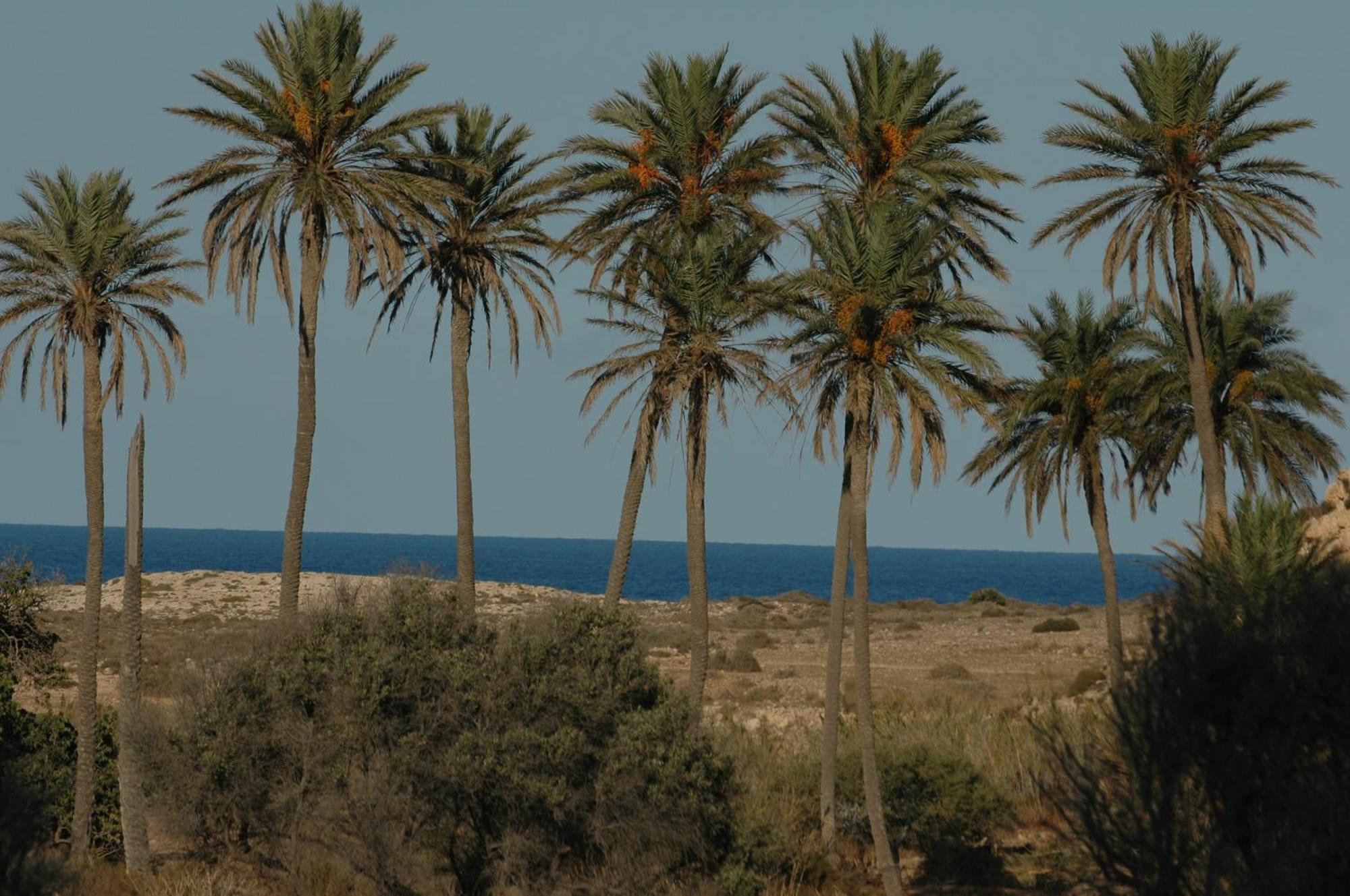 Complejo La Ermita Otel Rodalquilar Dış mekan fotoğraf
