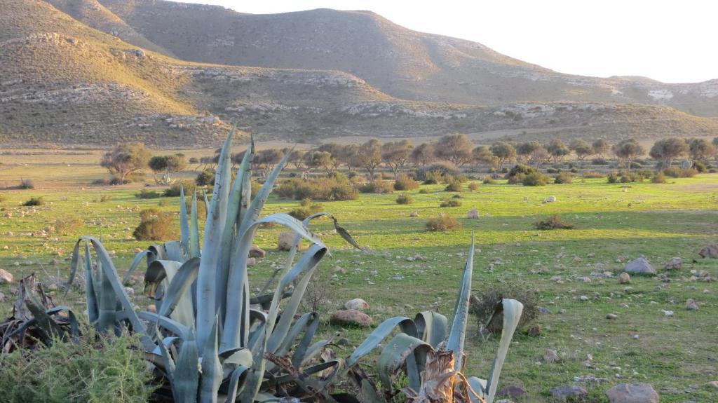 Complejo La Ermita Otel Rodalquilar Dış mekan fotoğraf