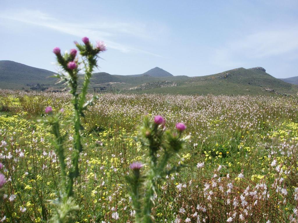 Complejo La Ermita Otel Rodalquilar Dış mekan fotoğraf